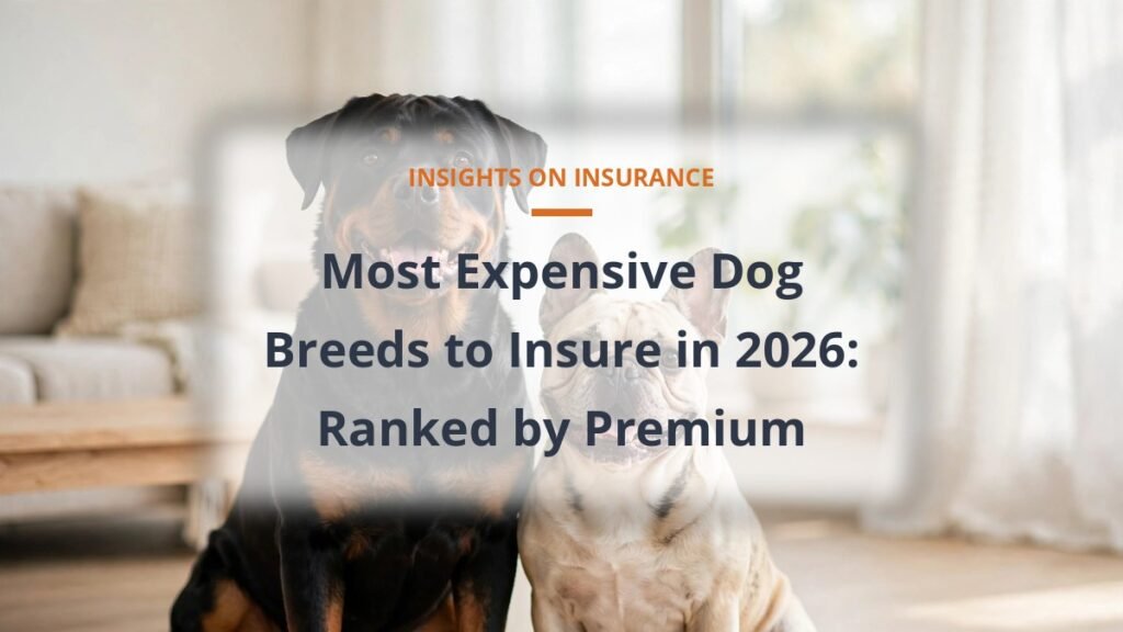 Rottweiler and French Bulldog in a sunny living room, most expensive dog breeds to insure 2026 premium ranking