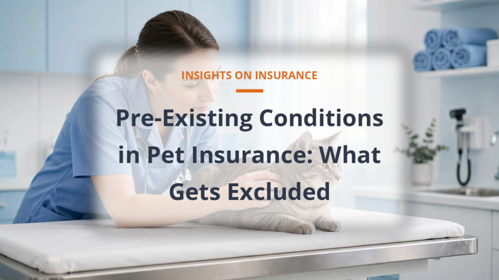 Pet insurance pre-existing conditions exclusions explained