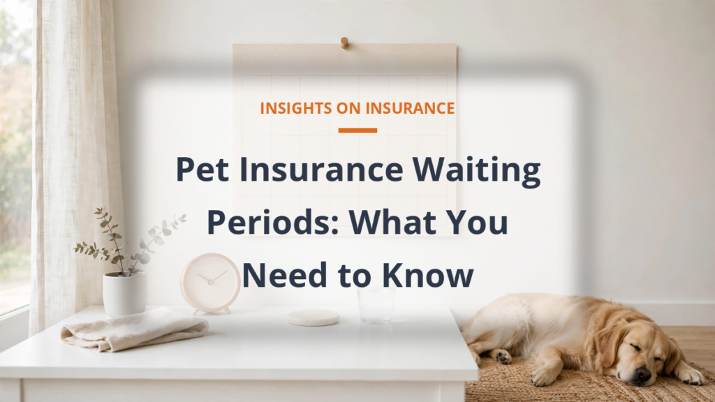 Pet insurance waiting periods for accidents illness and orthopedic claims